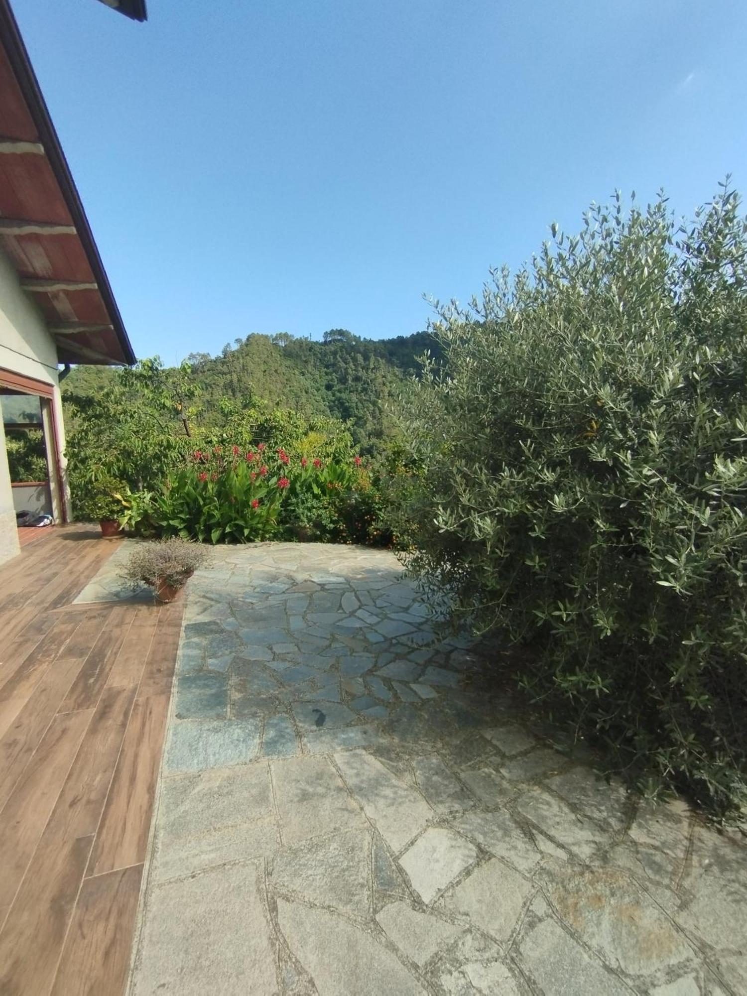 Villa Degli Ulivi Tivegna Exteriér fotografie