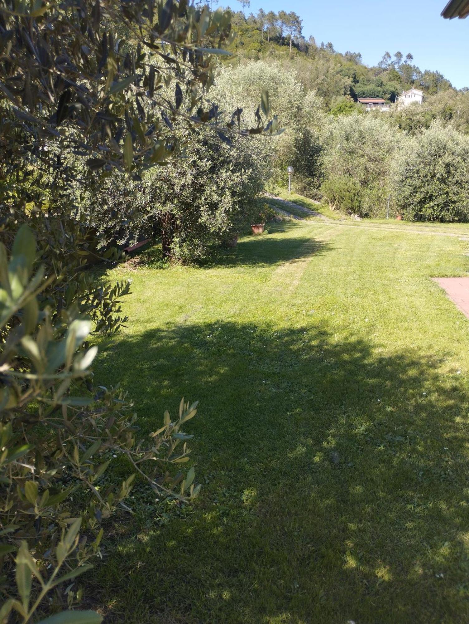Villa Degli Ulivi Tivegna Exteriér fotografie
