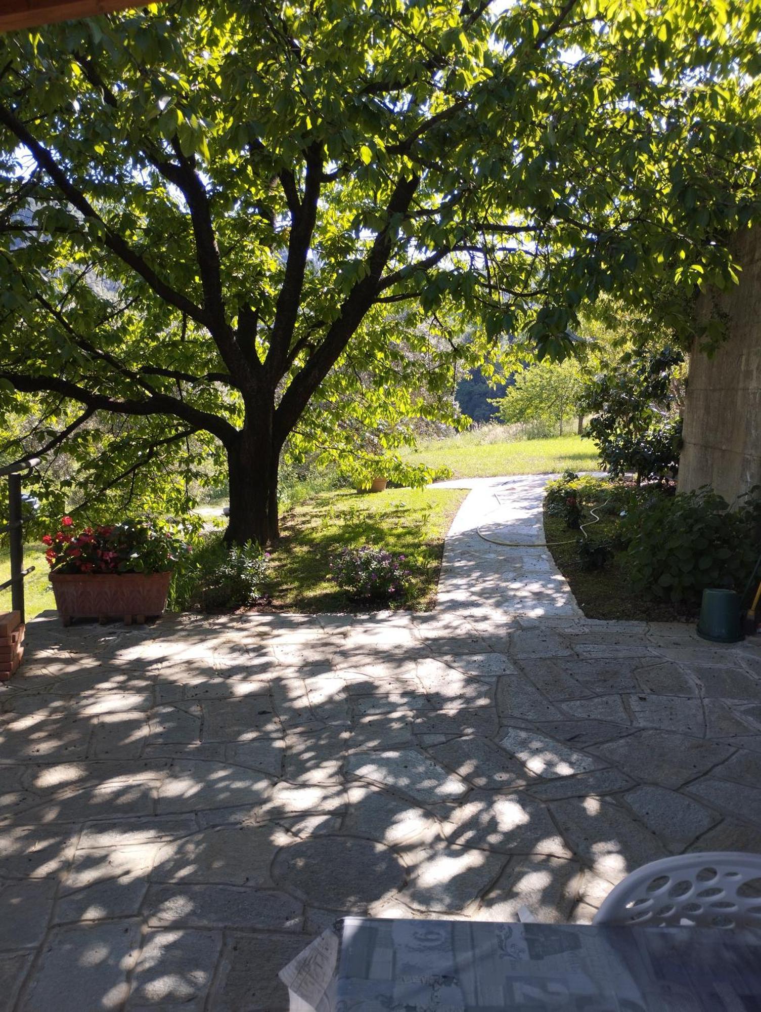 Villa Degli Ulivi Tivegna Exteriér fotografie