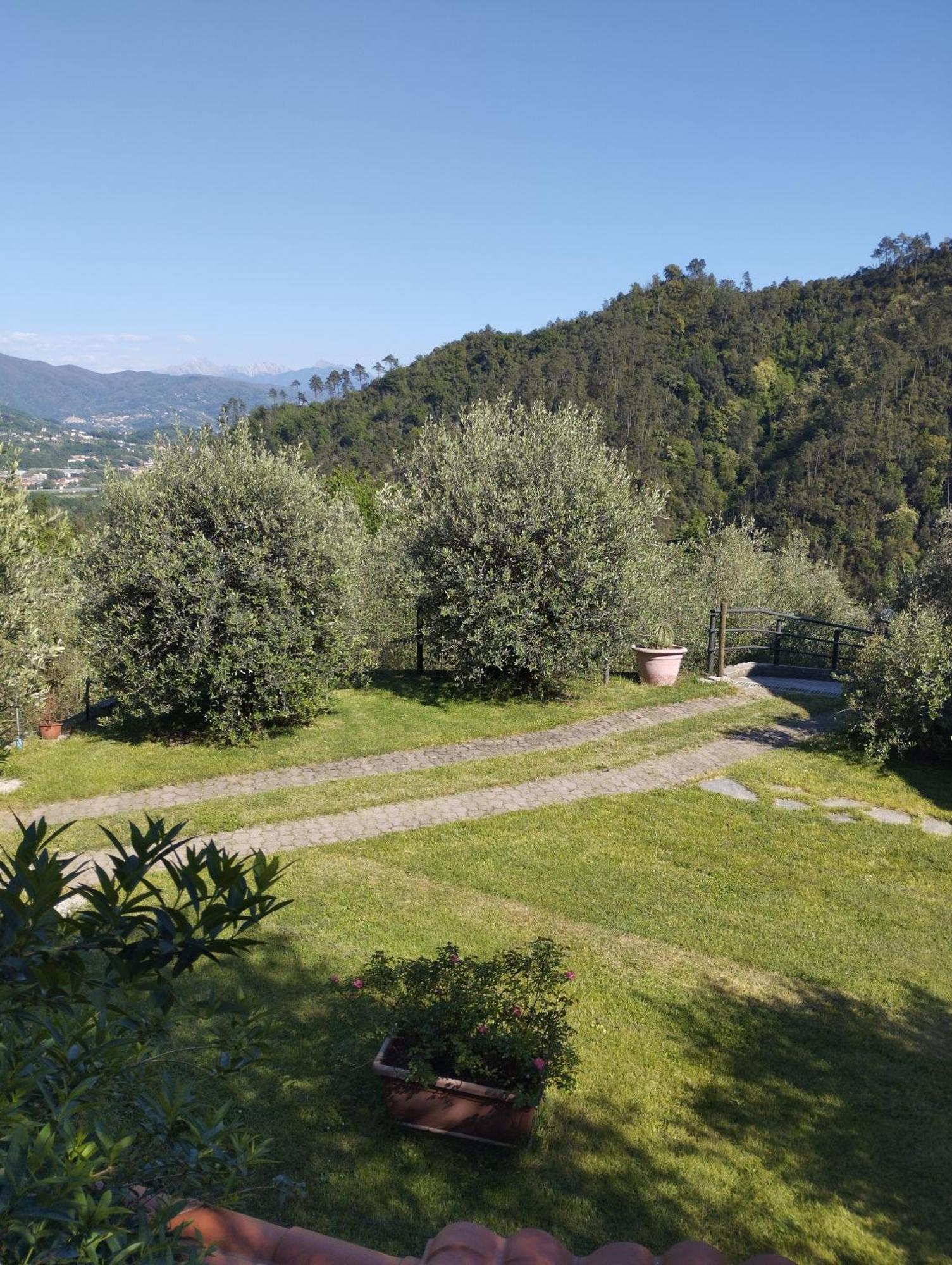 Villa Degli Ulivi Tivegna Exteriér fotografie