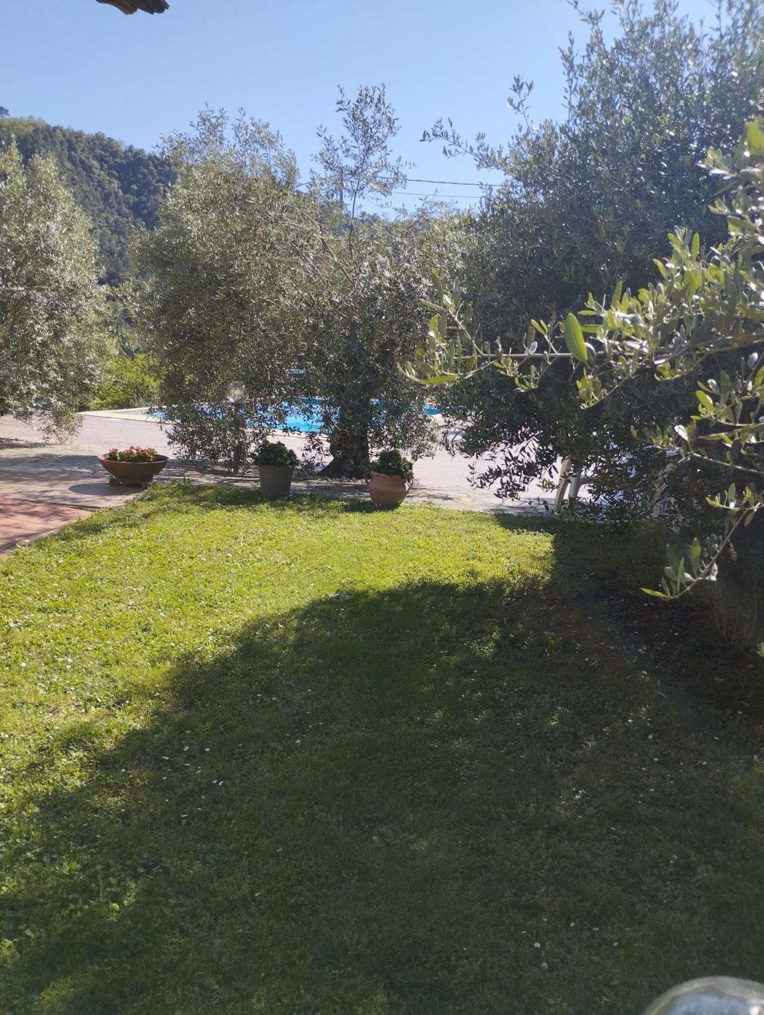 Villa Degli Ulivi Tivegna Exteriér fotografie